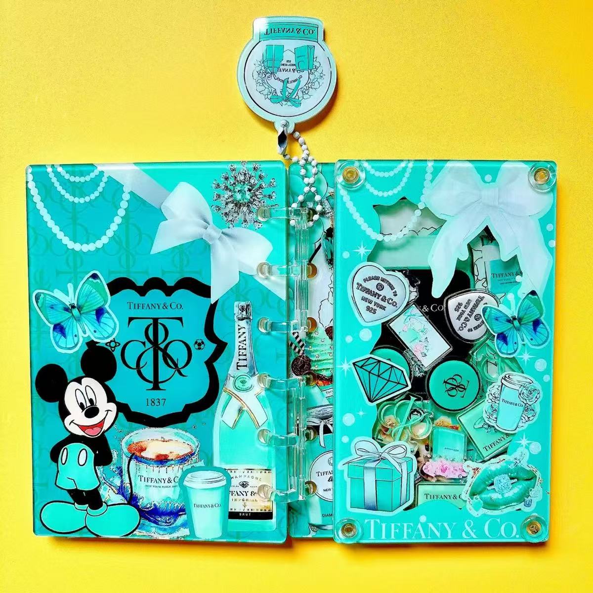 A5 Shaker Acrylic Notebook-lulu/tiff/cc sp/gg